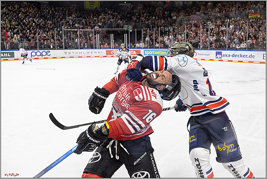 PENNY DEL;  Koelner Haie - Iserlohn Roosters; Koeln, 24.01.2023